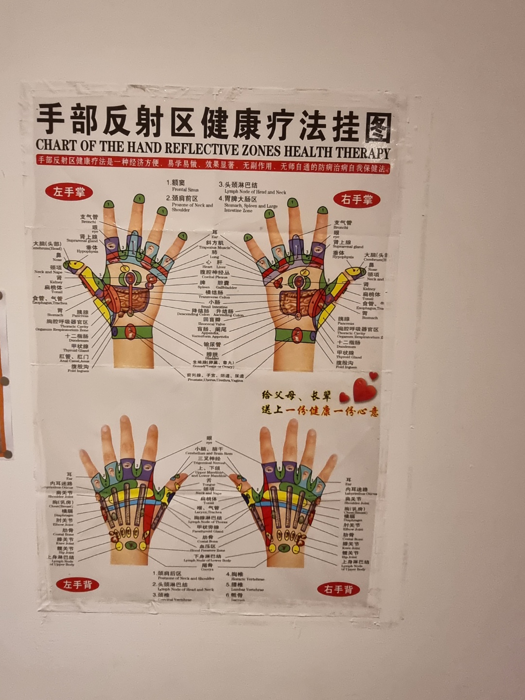 2950055133_LcSN1vnJ_5ab30ad526f85113c3610407be3195beb9cd1d73.jpg 이미지크게보기